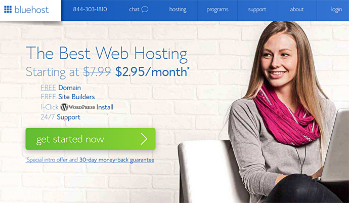 BlueHost Coupon $2.95 Per Month Enter Here